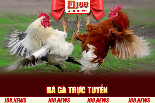 Đá Gà SV388 – Sảnh Đá Gà Đẳng Cấp Chuyên Nghiệp